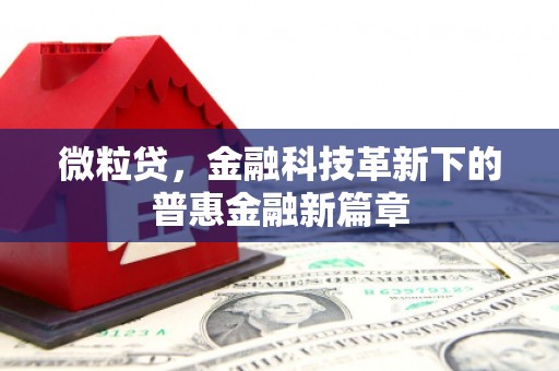 特克斯微粒贷，金融科技革新下的普惠金融新篇章