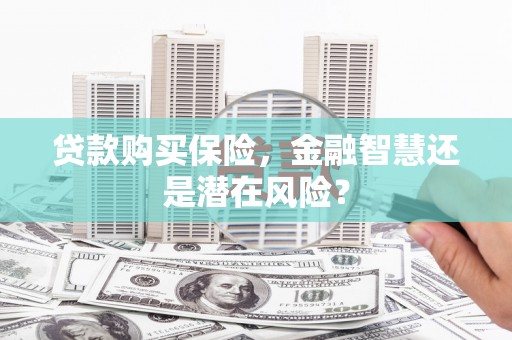 特克斯贷款购买保险，金融智慧还是潜在风险？