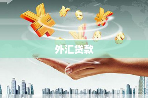 特克斯外汇贷款