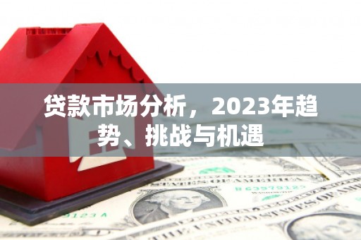 特克斯贷款市场分析，2023年趋势、挑战与机遇