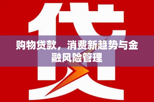 特克斯购物贷款，消费新趋势与金融风险管理