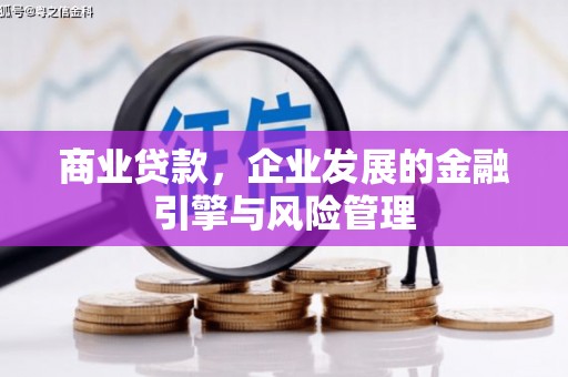 特克斯商业贷款，企业发展的金融引擎与风险管理