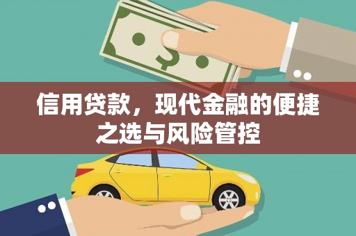特克斯信用贷款，现代金融的便捷之选与风险管控