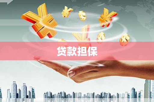特克斯贷款担保
