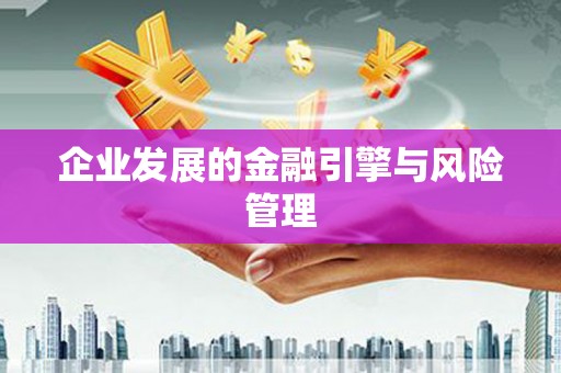 特克斯企业发展的金融引擎与风险管理