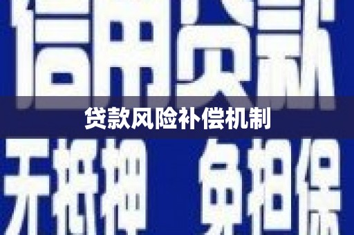 特克斯贷款风险补偿机制