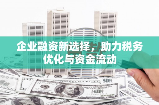 特克斯企业融资新选择，助力税务优化与资金流动