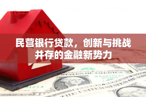 特克斯民营银行贷款，创新与挑战并存的金融新势力