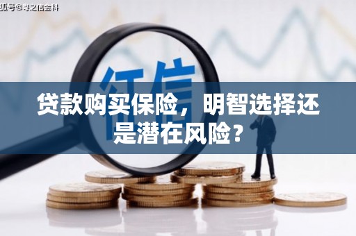 特克斯贷款购买保险，明智选择还是潜在风险？