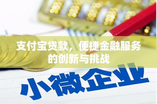 特克斯支付宝贷款，便捷金融服务的创新与挑战