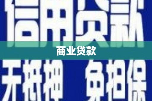 特克斯商业贷款