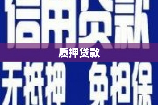 特克斯质押贷款