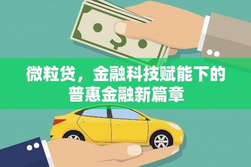 特克斯微粒贷，金融科技赋能下的普惠金融新篇章
