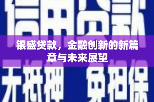 特克斯银盛贷款，金融创新的新篇章与未来展望