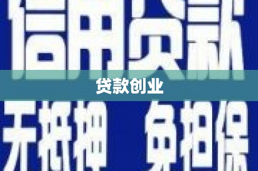 特克斯贷款创业