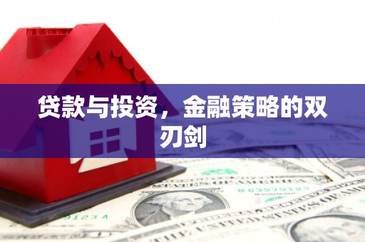 特克斯贷款与投资，金融策略的双刃剑