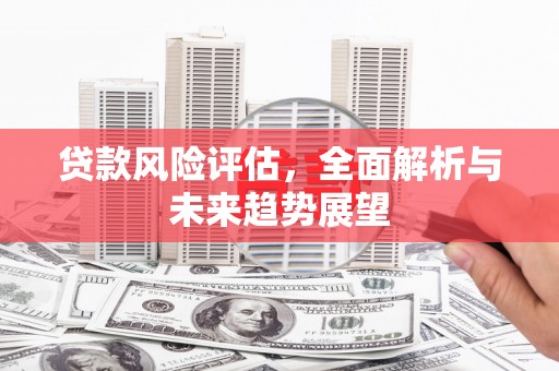 特克斯贷款风险评估，全面解析与未来趋势展望