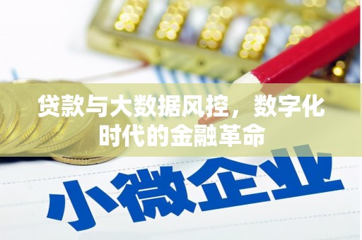 特克斯贷款与大数据风控，数字化时代的金融革命