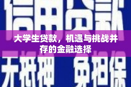 特克斯大学生贷款，机遇与挑战并存的金融选择
