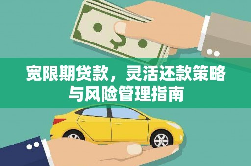 特克斯宽限期贷款，灵活还款策略与风险管理指南
