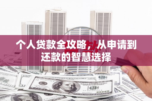 特克斯个人贷款全攻略，从申请到还款的智慧选择