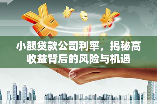 特克斯小额贷款公司利率，揭秘高收益背后的风险与机遇