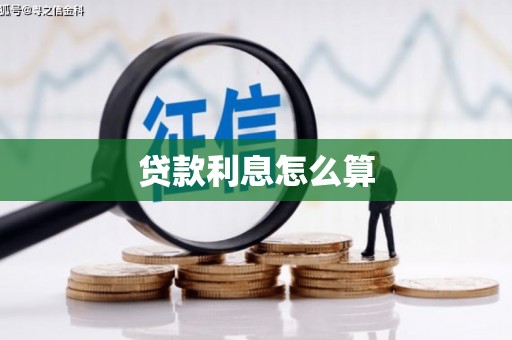 特克斯贷款利息怎么算