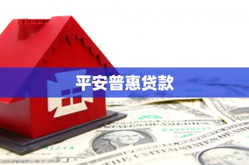 特克斯平安普惠贷款