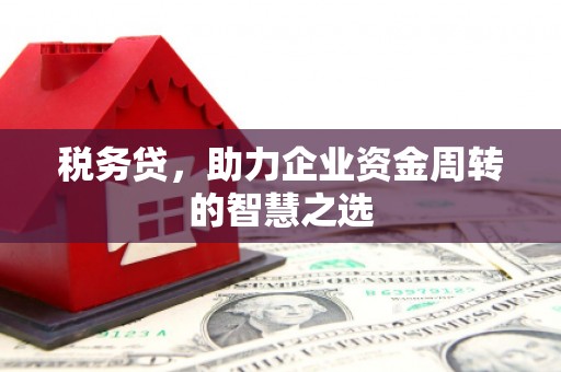 特克斯税务贷，助力企业资金周转的智慧之选