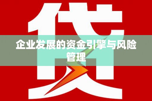 特克斯企业发展的资金引擎与风险管理