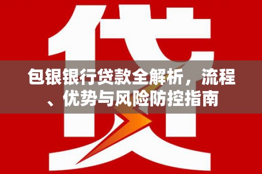 特克斯包银银行贷款全解析，流程、优势与风险防控指南