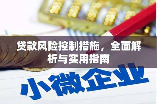特克斯贷款风险控制措施，全面解析与实用指南