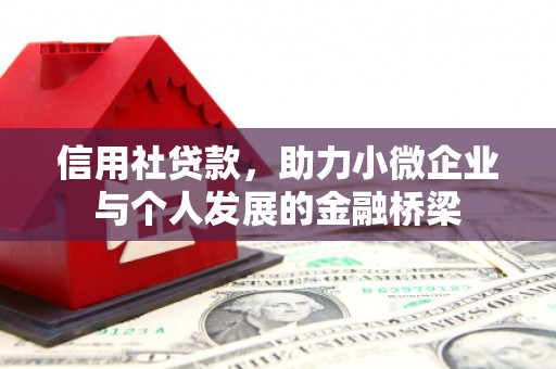 特克斯信用社贷款，助力小微企业与个人发展的金融桥梁