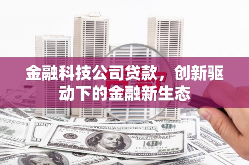 特克斯金融科技公司贷款，创新驱动下的金融新生态
