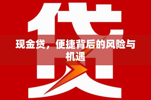 特克斯现金贷，便捷背后的风险与机遇