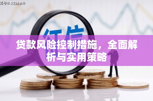 特克斯贷款风险控制措施，全面解析与实用策略