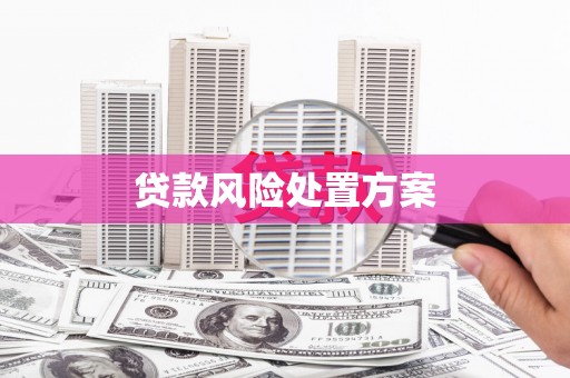 特克斯贷款风险处置方案