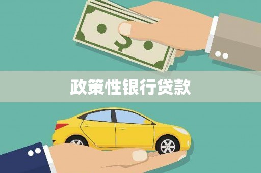 特克斯政策性银行贷款