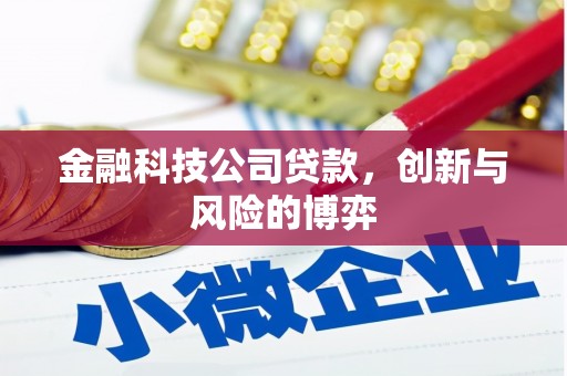 特克斯金融科技公司贷款，创新与风险的博弈