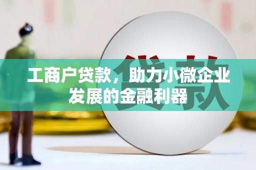 特克斯工商户贷款，助力小微企业发展的金融利器