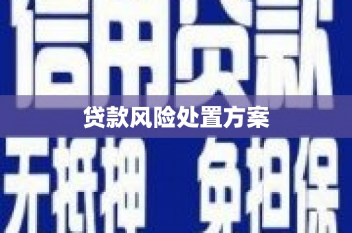 特克斯贷款风险处置方案