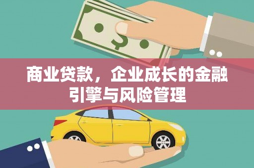 特克斯商业贷款，企业成长的金融引擎与风险管理