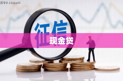 特克斯现金贷