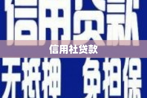 特克斯信用社贷款