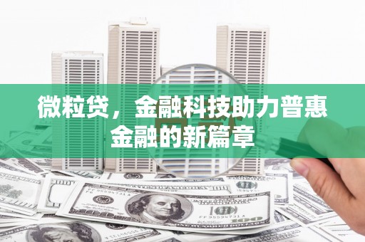 特克斯微粒贷，金融科技助力普惠金融的新篇章