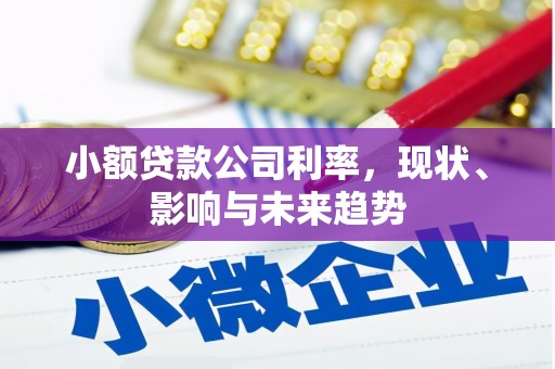 特克斯小额贷款公司利率，现状、影响与未来趋势