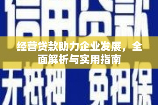 特克斯经营贷款助力企业发展，全面解析与实用指南