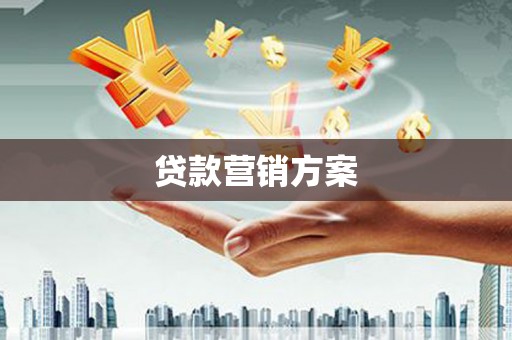 特克斯贷款营销方案