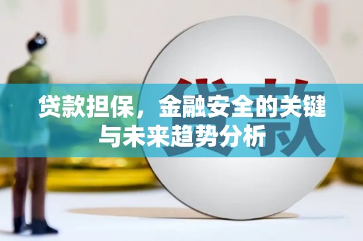 特克斯贷款担保，金融安全的关键与未来趋势分析