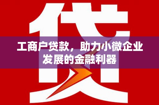 特克斯工商户贷款，助力小微企业发展的金融利器